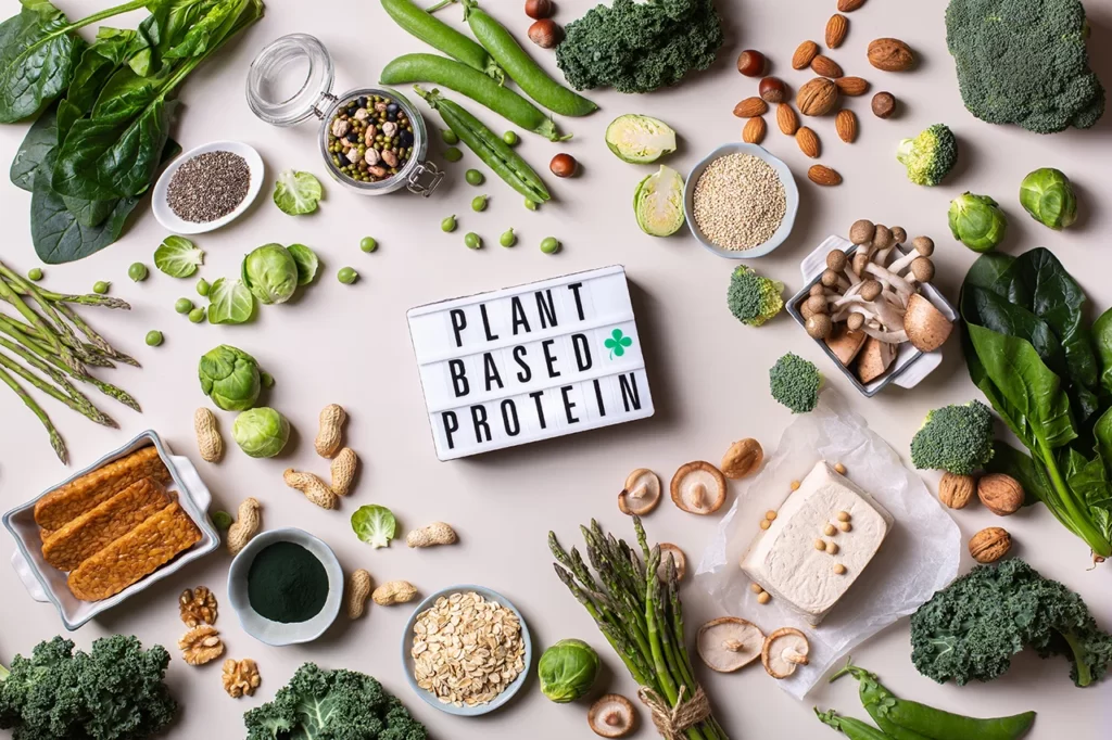 What are the Best Sources of Plant-Based Protein?